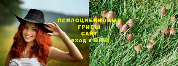 а пвп мука Алзамай