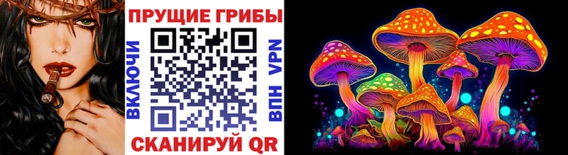 купить  цена  Касли  Галлюциногенные грибы Cubensis 
